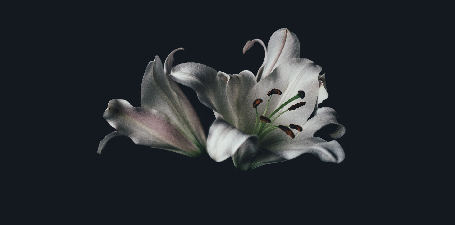 Zakład pogrzebowy Zielona Góra, Zakład pogrzebowy Czerwieńsk